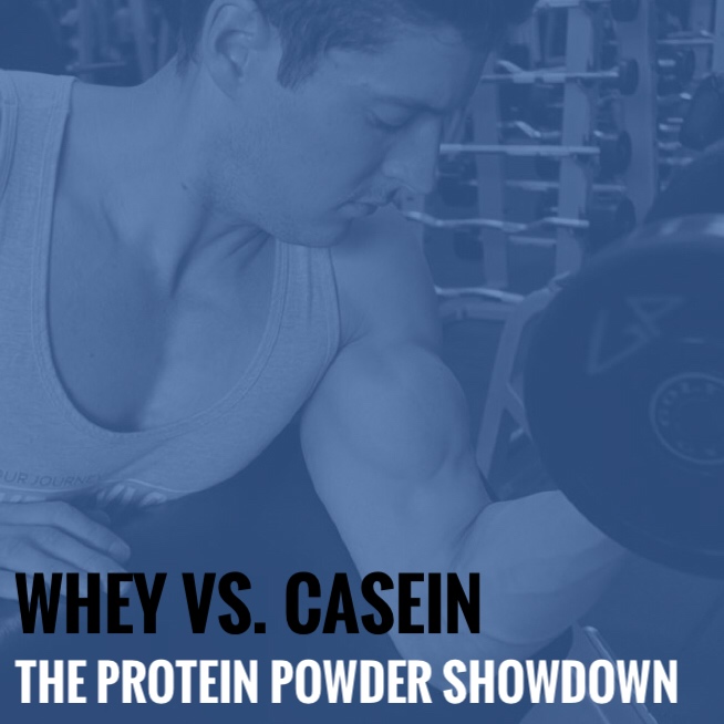 Whey Vs Casein The Protein Powder Showdown 3d Muscle Journey 0795