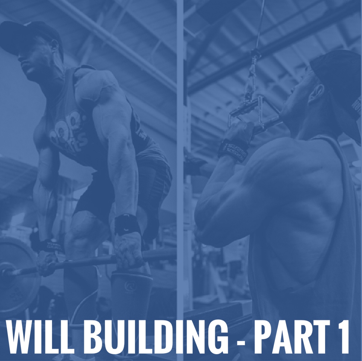 Will Building - Part 1 - 3D Muscle Journey