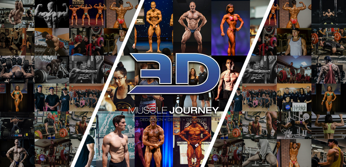 3d muscle journey review
